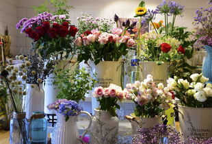  北京花店，鲜花的魅力与独特选择，北京花店，鲜花的魅力与独特选择，感受鲜花的美丽与独特性--第1张