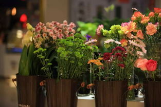  上海城市鲜花速递网——您的贴心鲜花配送专家，上海城市鲜花速递网，您的贴心鲜花配送专家，一站式鲜花订购服务提供商--第1张