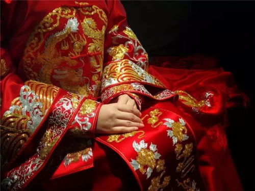  短剧我在古代当驸马全集观看，驸马传奇，我在古代当驸马--第1张