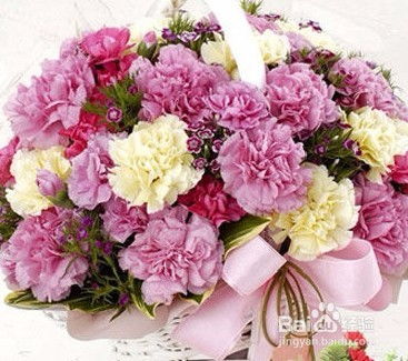  康乃馨花语颜色代表什么，康乃馨不同颜色代表的花语，红色康乃馨代表热烈的爱意，粉色康乃馨代表温馨的祝福，黄色康乃馨代表感恩之情，白色康乃馨代表纯洁的友谊。--第1张