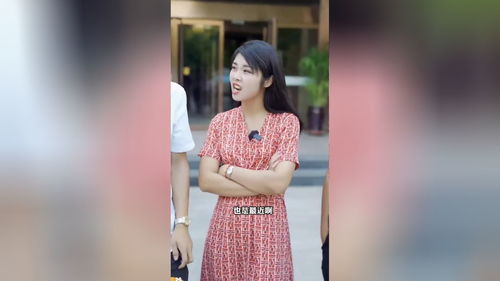  短剧我和我的十二个女友全集观看--第1张