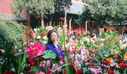  卖鲜花从哪里进货，鲜花进货，鲜花市场的秘密通道--第1张