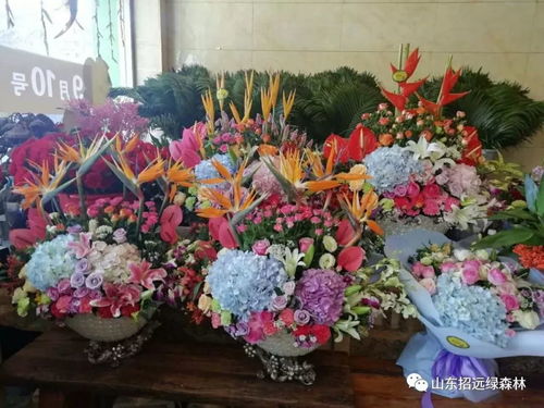  十大鲜花网上接单平台推荐--第1张