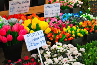  昆明北市区附近的花店，精选花卉，为您的生活增添色彩，昆明北市区精选花卉店，为您的生活增添色彩--第1张