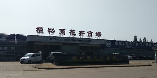  石家庄市鲜花店电话大全，石家庄市鲜花店电话，一站式购花服务提供商--第1张
