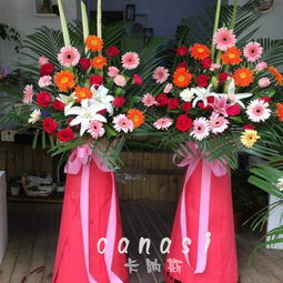  大连鲜花批发市场，一站式购物的鲜花天堂--第1张