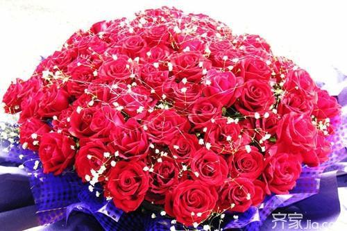  玫瑰花的支数的含义，玫瑰花支数的含义，玫瑰花的支数与爱情程度的关系--第1张