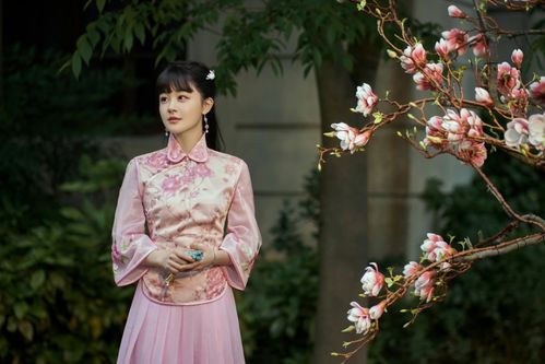  短剧庶女攻略全集观看，庶女攻略全集在线观看，古代女子生存之道--第1张