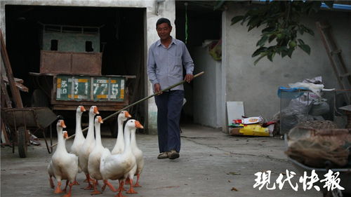  短剧新我可能被困在同一天一万年全集观看，感受无尽的时空之旅--第1张