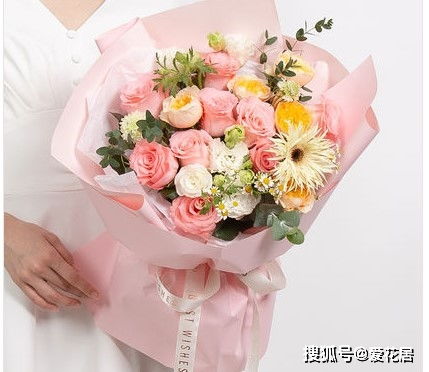  粉玫瑰品种大全大图--第1张