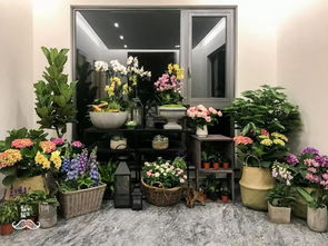  大连订花网站，一站式花艺服务，让您的生活更美好--第1张