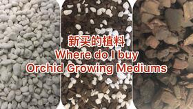  自制兰花专用营养土--第1张