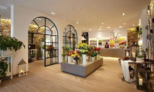  开家花店要投资多少钱，开家花店，所需投资金额揭秘--第1张