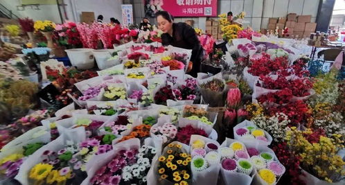  西安花卉市场批发市场，花卉爱好者的天堂--第1张