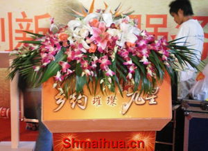  深圳哪里进货鲜花，深圳哪里进货鲜花，深圳鲜花批发市场介绍--第1张