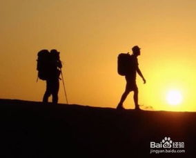  短剧重启人生全集观看，重拾信心，开启全新人生之旅--第1张