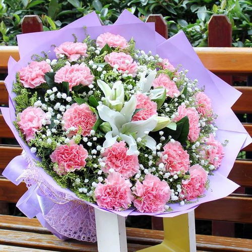  康乃馨鲜花怎么养时间比较久，康乃馨鲜花怎么养时间更久，掌握养护技巧--第1张