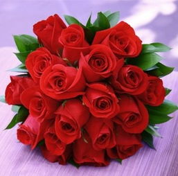  送情人什么玫瑰花好，送情人什么玫瑰花好，玫瑰花的选择与寓意--第1张