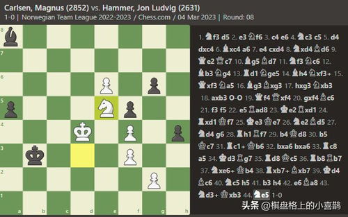 卡尔森国际象棋_卡尔森国际象棋男子世界冠军--第1张