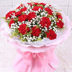  19朵康乃馨的花语，爱的永恒与敬仰，康乃馨花语，永恒的爱与敬仰，19朵康乃馨的深情表达--第1张