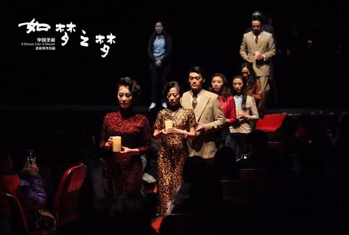  短剧如梦全集观看--第1张