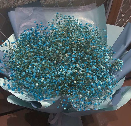  满天星的花语，满天星的花语包括，1. 纯洁、淡雅、美好，2. 配角也可以很美，3. 生命、坚韧、力量，4. 喜悦、爱和美好。--第1张