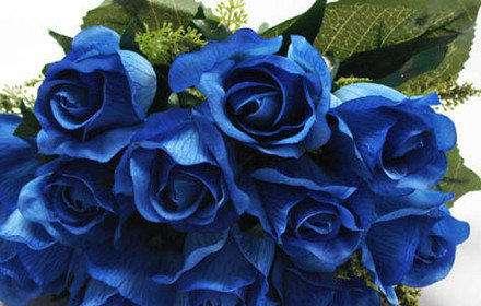  克莱因蓝玫瑰，花语，传说与现实，克莱因蓝玫瑰，花语、传说与现实的交融--第1张
