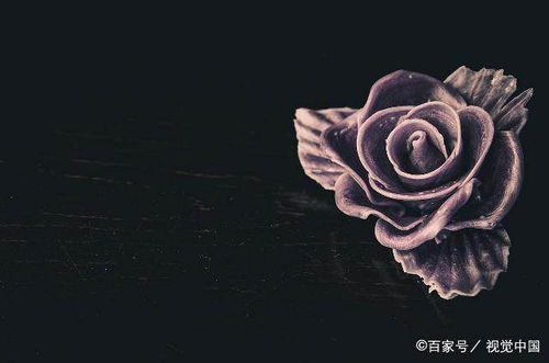  玫瑰的颜色代表的含义，玫瑰花不同颜色的含义，玫瑰花红玫瑰代表热情真爱。玫瑰花粉玫瑰代表永远的爱。玫瑰花白玫瑰代表纯洁天真。玫瑰花黄玫瑰代表深深的祝福和无法忘记的爱。--第1张