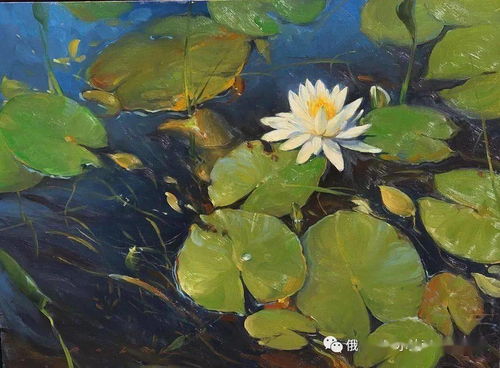  图片中的花草风景，自然之美与生命之力的交织，图片中的花草风景，自然之美与生命之力的交织--第1张
