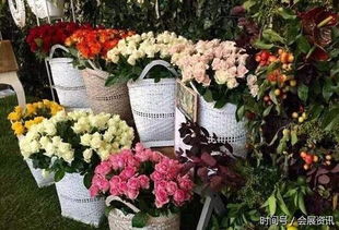  郑州花卉，绚丽多彩的花卉市场，郑州绚丽多彩的花卉市场，郑州花卉的魅力与文化--第1张