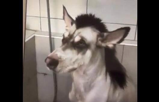  短剧新版她死后薄爷跪在墓前哭成狗全集观看--第1张