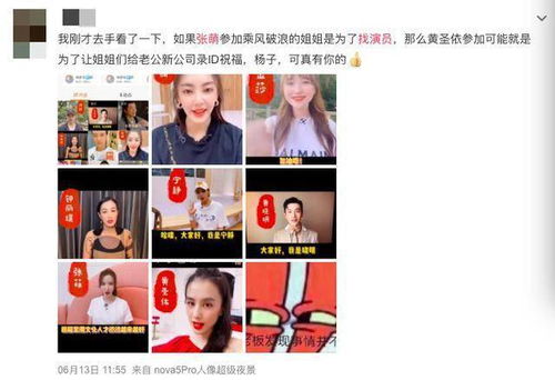  短剧我在豪门乘风破浪全集观看--第1张
