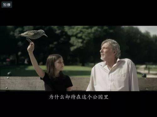  短剧狂医全集，一部颠覆想象的神作--第1张