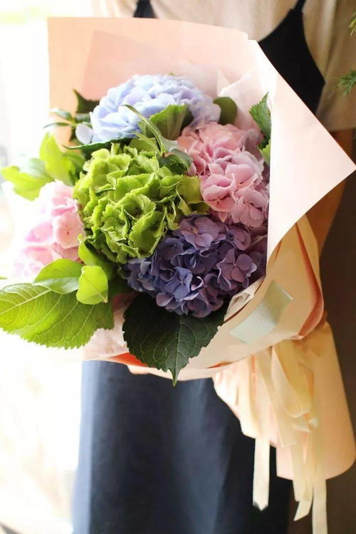  一份特别的礼物——送花卡片留言--第1张