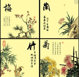  四君子的象征和品质--第1张