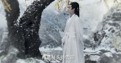  短剧雪落识潇尘全集观看，雪落识潇尘全集在线观看，短剧爆款来袭--第1张