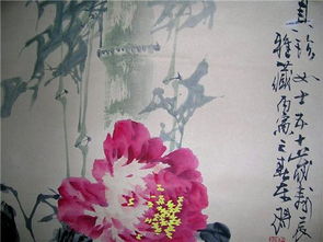  古人赞美海棠花的诗句，海棠花之美，古人的赞美之词--第1张