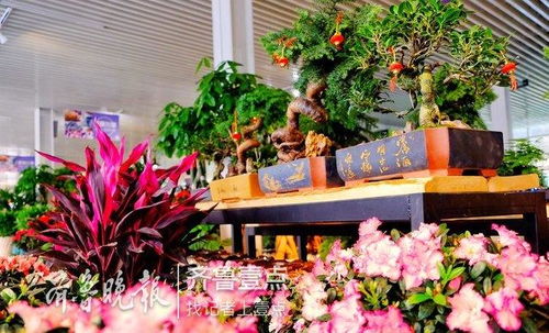  鲜花的平台，从选择到种植，一站式服务引领花卉市场新潮流--第1张