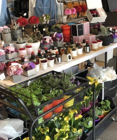  花店批发在哪里进货--第1张