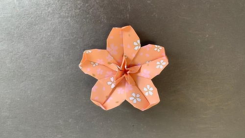  樱花折纸--第1张