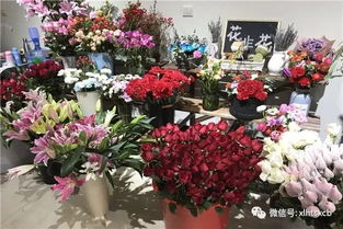  云南网上鲜花预定，鲜花的另一种购买方式--第1张