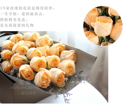  鲜花在哪个平台买最好，鲜花购买的最佳平台，鲜花购买的最佳选择--第1张