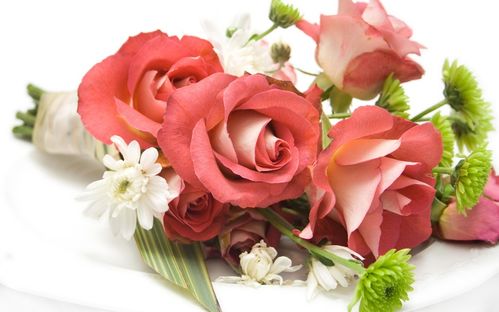  西安订鲜花——让你的生活充满鲜花的芬芳--第1张