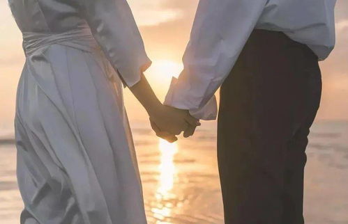  ，短剧顾总你的闪婚小妻是大佬呀全集观看--第1张