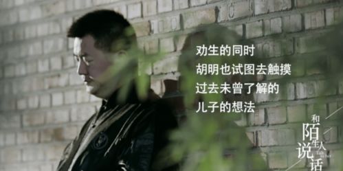  短剧燃烧吧特工妈妈全集观看，揭秘特工妈妈们的英勇与智慧，特工妈妈们的英勇与智慧，燃烧吧特工妈妈全集--第1张