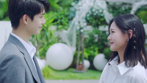  短剧你是我的爱白羽韩琪全集观看--第1张