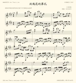  玫瑰花的葬礼歌曲--第1张