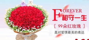  表白送几朵玫瑰花，表白送玫瑰花，一朵就够啦！--第1张