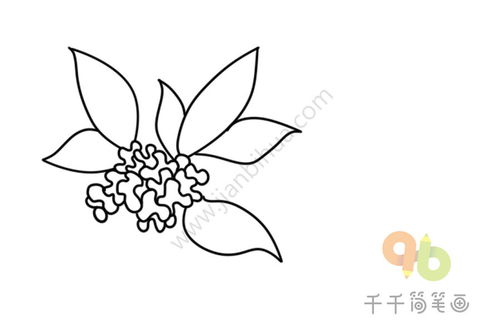  月桂树简笔画，月桂树简笔画，月亮下的桂树--第1张