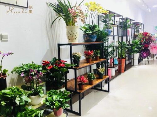  开花店前期需要做什么样的准备，开花店前期需要做什么样的准备工作--第1张